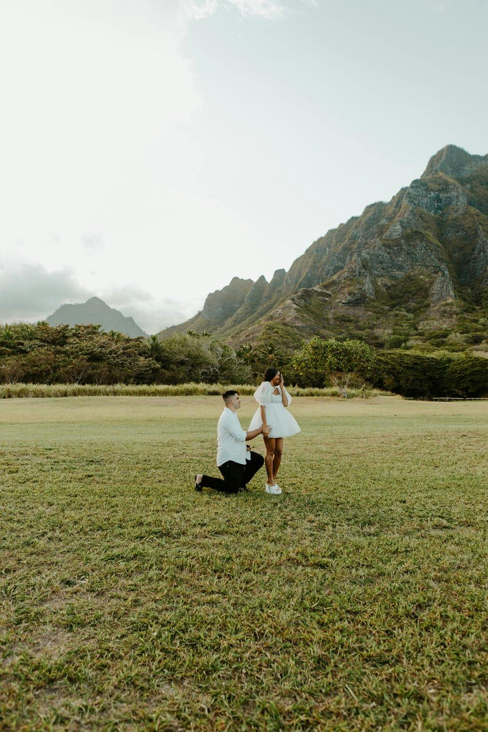 a couple getting engaged in a hawaii in a beautiful tropical field