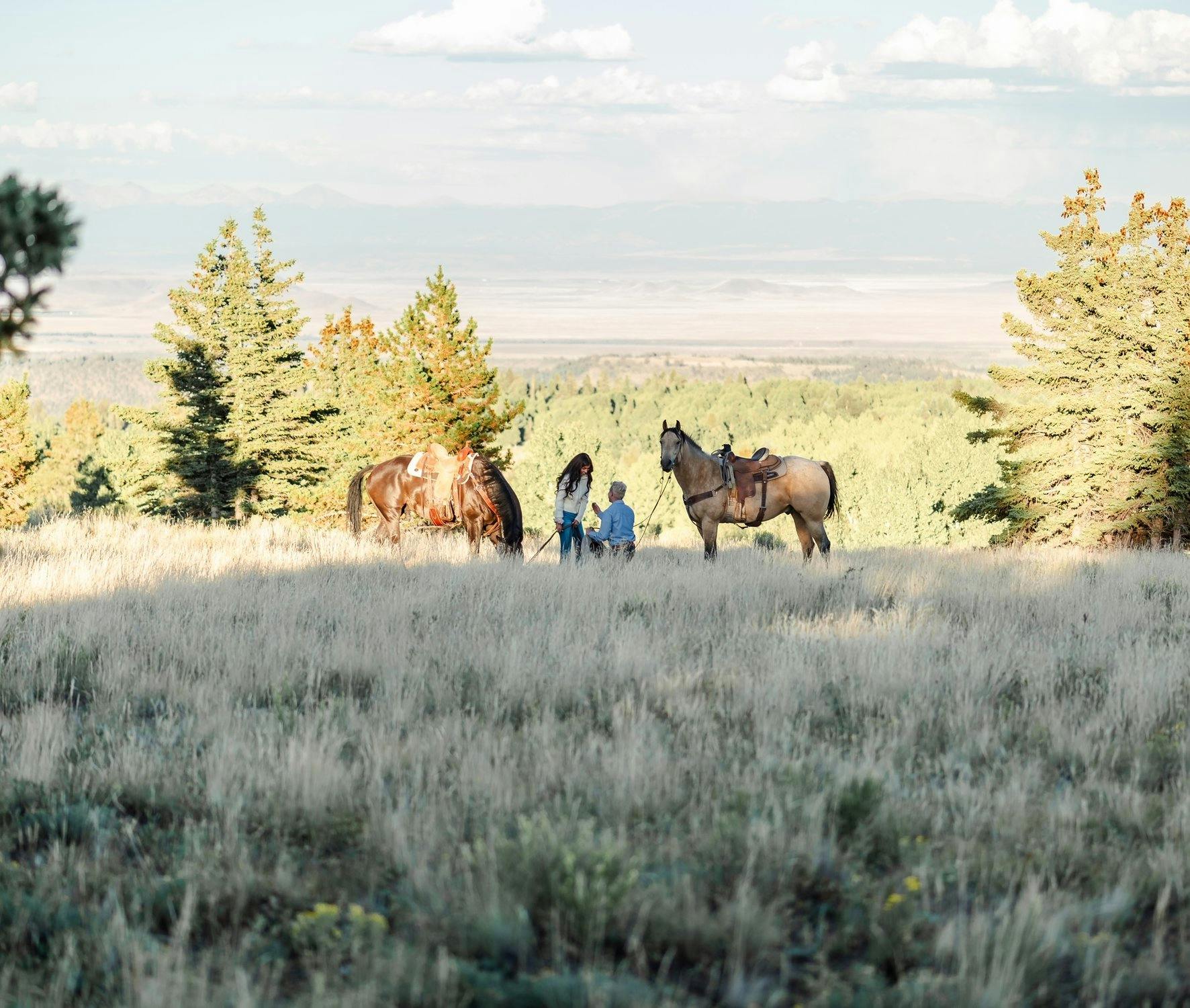 a man proposing to his girlfriend in a field of grass with a horse next to each of them.