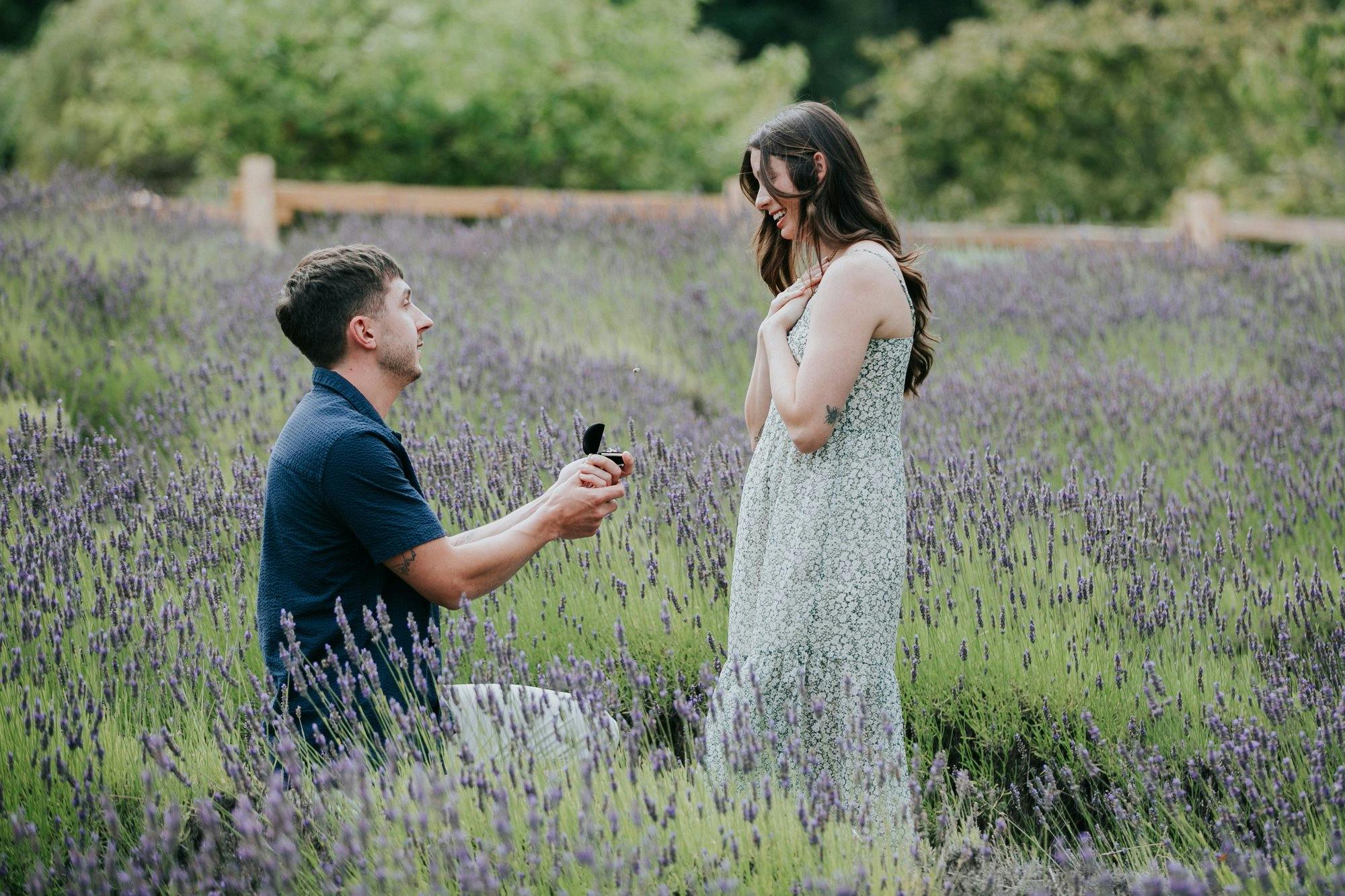 a man proposing to his girlfriend in a blooming lavender field